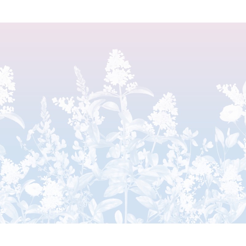 Honpo | Flower Field